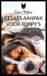 Cesar Millan - Cesar's aanpak voor puppy's