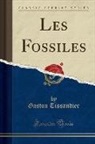Gaston Tissandier - Les Fossiles (Classic Reprint)