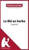 lePetitLittéraire, lePetitLittéraire fr, lePetitLittéraire. fr, Elen Pinaud, Elena Pinaud - Le Blé en herbe de Colette