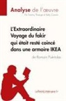 Kell Carrein, Kelly Carrein, Lepetitlitteraire, lePetitLittéraire fr, lePetitLittéraire. fr, Tomm Thiange... - L'Extraordinaire Voyage du fakir qui était resté coincé dans une armoire IKEA de Romain Puértolas (Analyse de l'oeuvre)