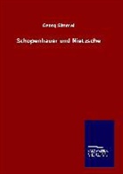 Georg Simmel - Schopenhauer und Nietzsche