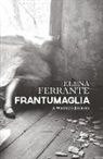 Elen Ferrante, Elena Ferrante, Ann Goldstein - Frantumaglia: A Writer's Journey