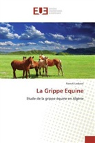 Farouk Laabassi, Laabassi-f - La grippe equine