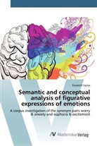 Elisabeth Sajtos - Semantic and conceptual analysis of figurative expressions of emotions