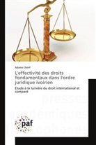 Adama Chérif, Cherif-A - L effectivite des droits