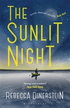 Rebecca Dinerstein, Rebecca Dinerstein Knight - Sunlit Night