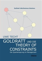 Uwe Techt, VISTE, VISTEM - Goldratt und die Theory of Constraints