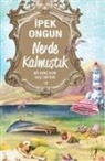 Ipek Ongun - Nerde Kalmistik