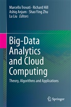 Ashiq Anjum, Ashiq Anjum et al, Richar Hill, Richard Hill, Lu Liu, Marcello Trovati... - Big-Data Analytics and Cloud Computing