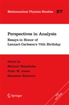 Michael Benedicks, Pete Jones, Peter Jones, Peter W. Jones, Stanislav Smirnov, Stanislav Smirnov et al - Perspectives in Analysis, w. DVD