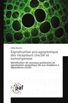 Céline Bonnet, Bonnet-C - Signalisation pro apoptotique des