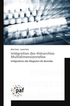 Jamel Feki, Bile Zarai, Bilel Zarai - Integration des hierarchies