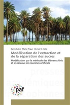 Kari Gabsi, Karim Gabsi, Ahmed N Helal, Ahmed N. Helal, Mahe Trigui, Maher Trigui - Modelisation de l extraction et