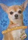 Mari Schuh, Mari C Schuh, Mari C. Schuh - Chihuahuas