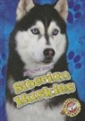 Chris Bowman - Siberian Huskies