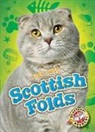 Christina Leaf - Scottish Folds