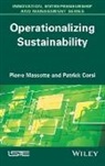 Patrick Corsi, Massotte, Pierre Massotte - Operationalizing Sustainability