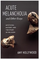 Amy Hollywood, Hollywood Amy - Acute Melancholia and Other Essays