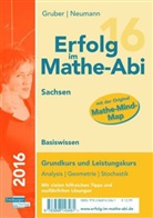 Helmu Gruber, Helmut Gruber, Robert Neumann - Erfolg im Mathe-Abi 2016 - Basiswissen Sachsen