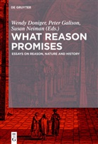 Wendy Doniger, Pete Galison, Peter Galison, Susan Neiman - What Reason Promises