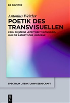 Antonius Weixler - Poetik des Transvisuellen
