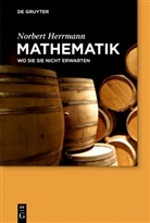 Norbert Herrmann - Mathematik