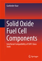 Gurbinder Kaur - Solid Oxide Fuel Cell Components