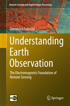 Domenico Solimini - Understanding Earth Observation