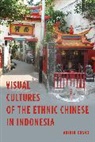 Abidin Kusno, Kusno Abidin - Visual Cultures of the Ethnic