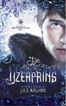 Julie Kagawa - De IJzerprins