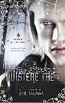 Julie Kagawa - De duistere fae