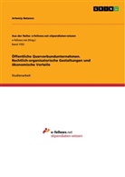 Artemiy Batanov - Öffentliche Querverbundunternehmen. Rechtlich-organisatorische Gestaltungen und ökonomische Vorteile