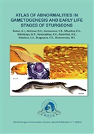 Haral Rosenthal, Harald Rosenthal - Atlas of Abnormalities in Gametogenies and Early Life Stages of Sturgeons