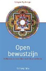Tarthang Tulku - Open bewustzijn