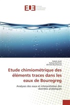 Rahm Bchitou, Rahma Bchitou, Ahmed Bouhaouss, Nabi Zerki, Nabih Zerki - Etude chimiometrique des elements