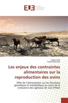 Farida Khammar, NADI TAIBI, NADIA TAIBI - Les enjeux des contraintes