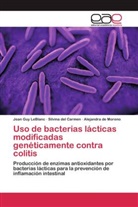 Silvina del Carmen, A de Moreno, Alejandra de Moreno, Silvin del Carmen, Silvina del Carmen, Jean Gu LeBlanc... - Uso de bacterias lácticas modificadas genéticamente contra colitis
