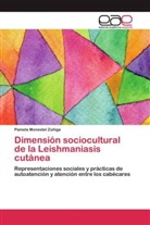 Pamela Monestel Zúñiga - Dimensión sociocultural de la Leishmaniasis cutánea