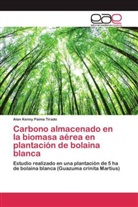 Alan Kenny Paima Tirado - Carbono almacenado en la biomasa aérea en plantación de bolaina blanca