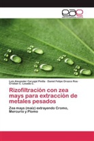 Luis Alexande Carvajal Pinilla, Luis Alexander Carvajal Pinilla, Cristian C. Losada C., Danie Orozco Roa, Daniel Felipe Orozco Roa - Rizofiltración con zea mays para extracción de metales pesados