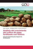 Herná Echeverria, Hernán Echeverria, Santiag Lamorte, Santiago Lamorte, Este Zamuner, Ester Zamuner - Análisis del crecimiento del cultivo de papa fertilizado con fósforo
