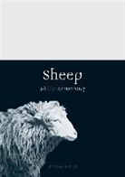 Philip Armstrong - Sheep