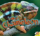 Aaron Carr - I Am a Chameleon