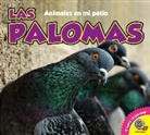 Aaron Carr - Las Palomas