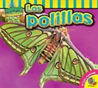 Aaron Carr - Las Polillas