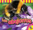 Aaron Carr - Los Abejorros