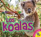 Ruth Daly - Los Koalas