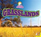 Alexis Roumanis - Grasslands