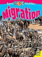 Megan Kopp - Migration