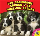 Cecilia Minden - Los Cachorros Crecen y Se Vuelven Perros
